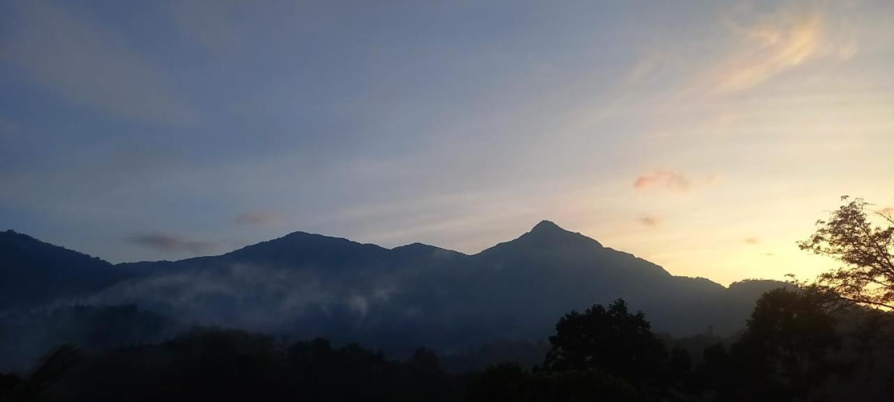 Green Magic Riverside Resort Munnar Buitenkant foto