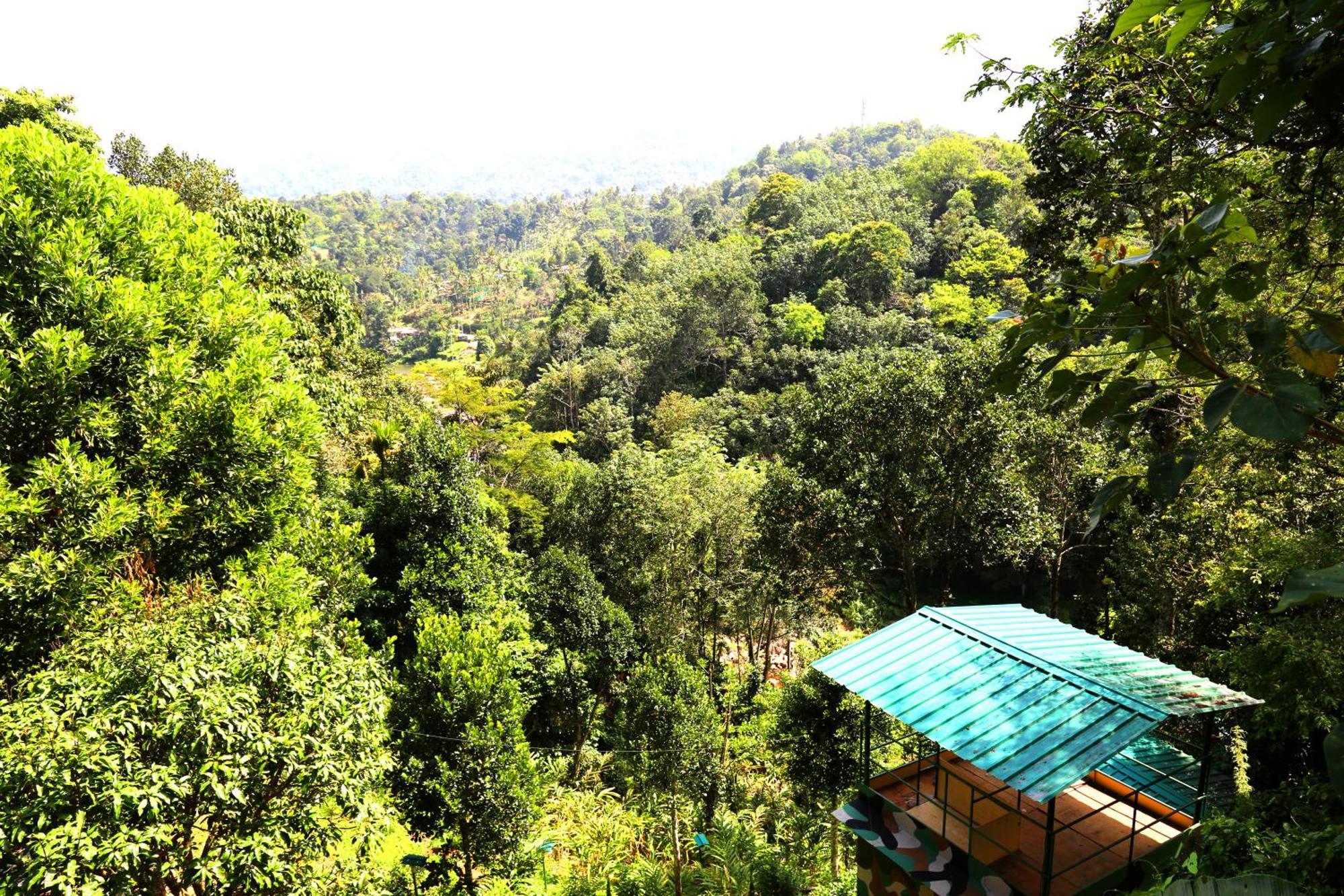 Green Magic Riverside Resort Munnar Buitenkant foto